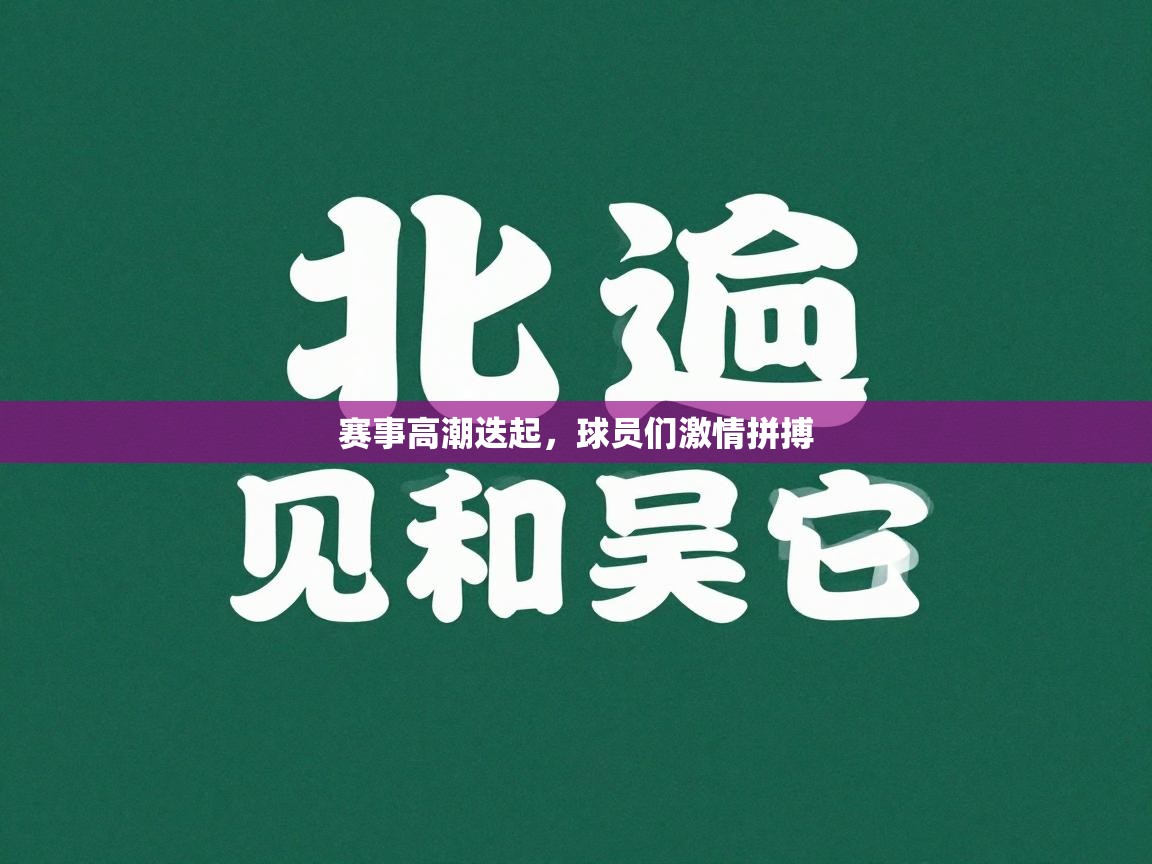 赛事高潮迭起,球员们激情拼搏 第1张